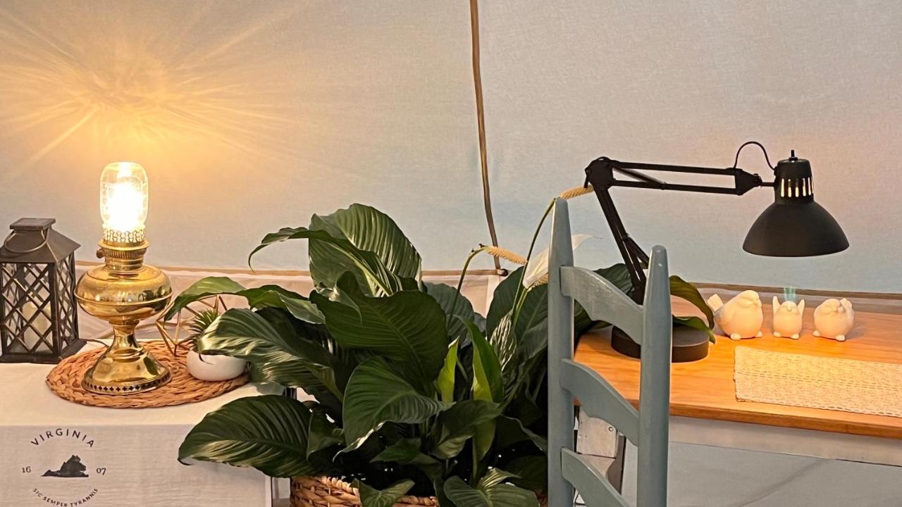 Shenandoah Valley Glamping - Amazing Views - Farm Edinburg Экстерьер фото
