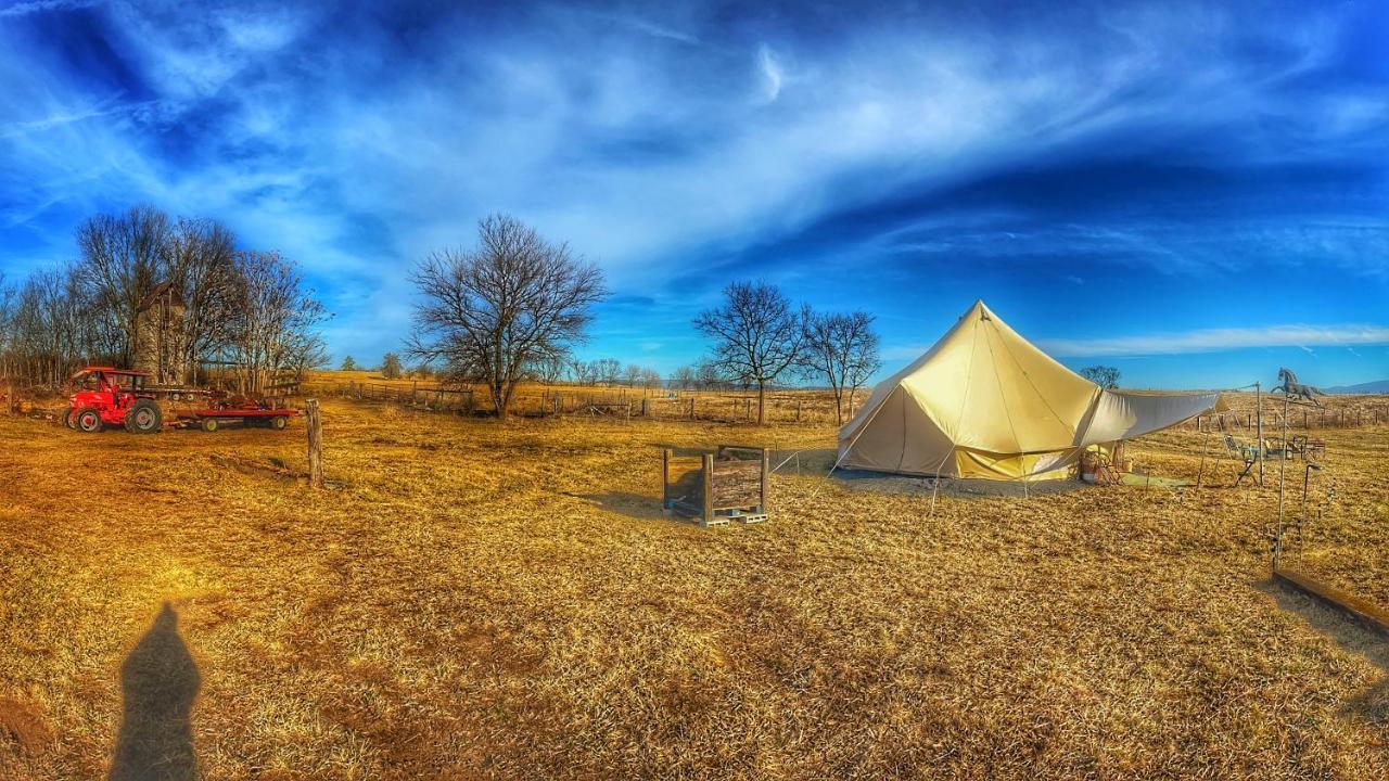 Shenandoah Valley Glamping - Amazing Views - Farm Edinburg Экстерьер фото