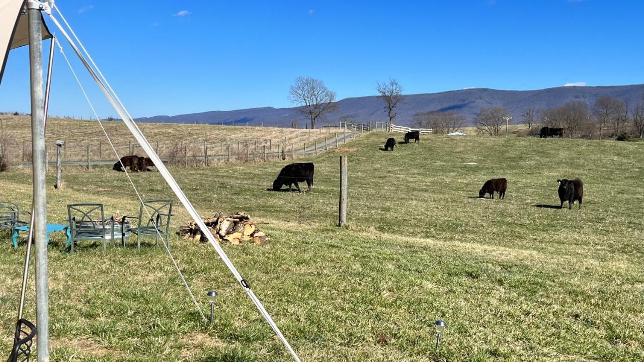 Shenandoah Valley Glamping - Amazing Views - Farm Edinburg Экстерьер фото